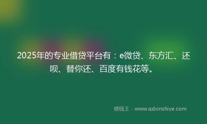 2025年的专业借贷平台有：e微贷、东方汇、还呗、替你还、百度有钱花等。