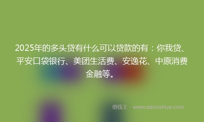 2025年的多头贷有什么可以贷款的有：你我贷、平安口袋银行、美团生活费、安逸花、中原消费金融等。