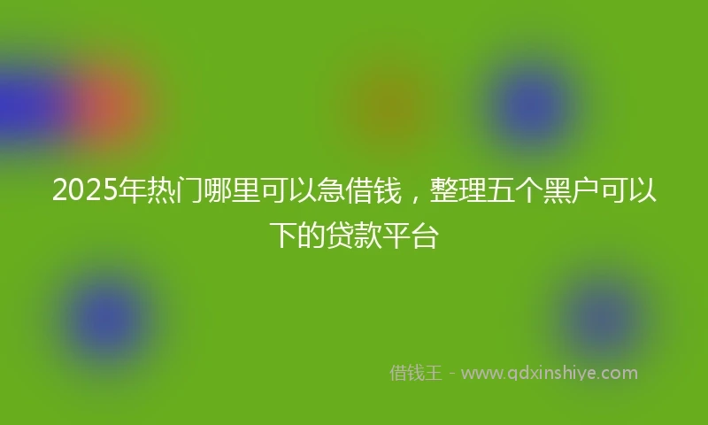 2025年热门哪里可以急借钱，整理五个黑户可以下的贷款平台