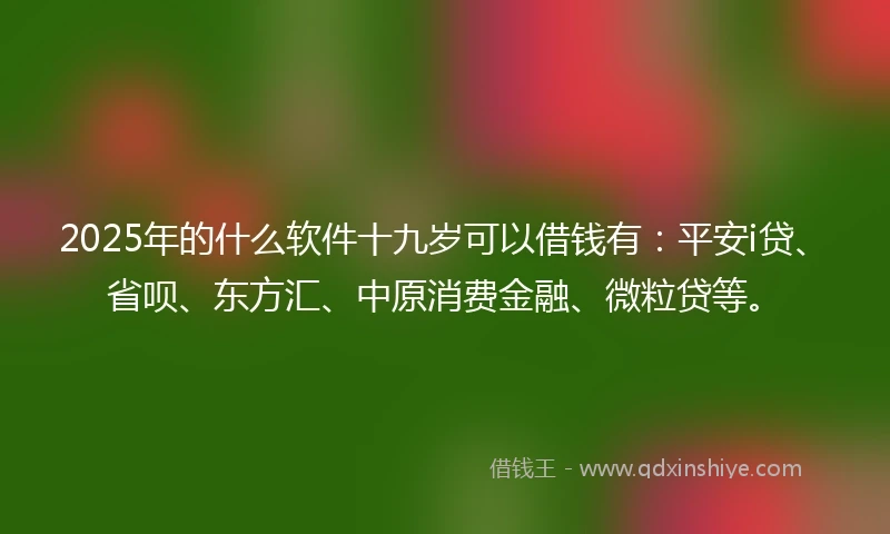 2025年的什么软件十九岁可以借钱有：平安i贷、省呗、东方汇、中原消费金融、微粒贷等。