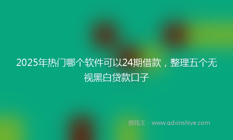 2025年热门哪个软件可以24期借款，整理五个无视黑白贷款口子