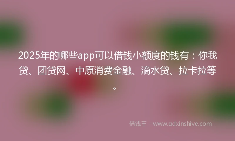 2025年的哪些app可以借钱小额度的钱有：你我贷、团贷网、中原消费金融、滴水贷、拉卡拉等。