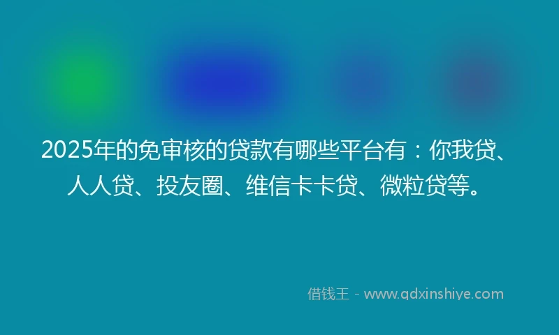 2025年的免审核的贷款有哪些平台有：你我贷、人人贷、投友圈、维信卡卡贷、微粒贷等。