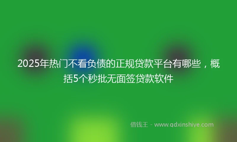 2025年热门不看负债的正规贷款平台有哪些，概括5个秒批无面签贷款软件