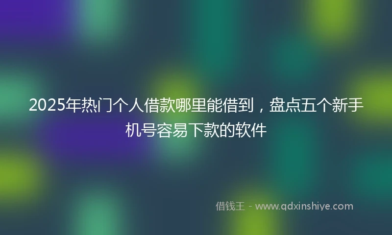 2025年热门个人借款哪里能借到，盘点五个新手机号容易下款的软件