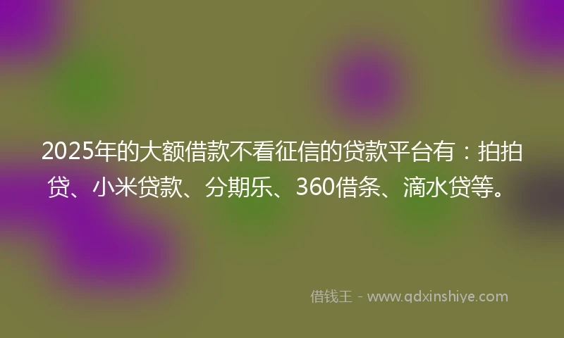 2025年的大额借款不看征信的贷款平台有：拍拍贷、小米贷款、分期乐、360借条、滴水贷等。