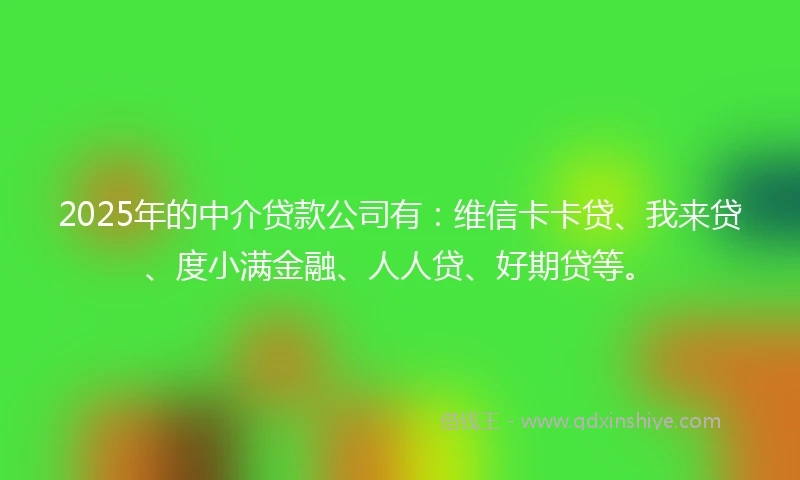 2025年的中介贷款公司有：维信卡卡贷、我来贷、度小满金融、人人贷、好期贷等。