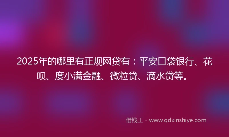 2025年的哪里有正规网贷有：平安口袋银行、花呗、度小满金融、微粒贷、滴水贷等。