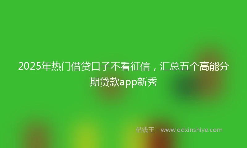 2025年热门借贷口子不看征信,汇总五个高能分期贷款app新秀