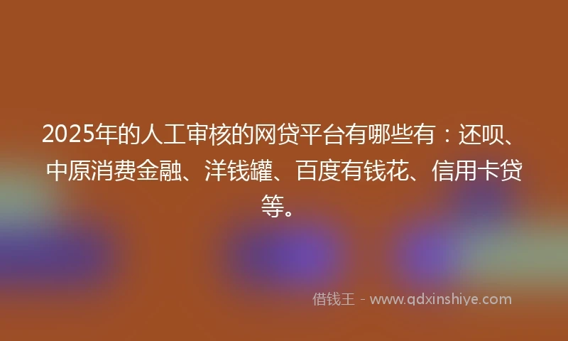 2025年的人工审核的网贷平台有哪些有：还呗、中原消费金融、洋钱罐、百度有钱花、信用卡贷等。