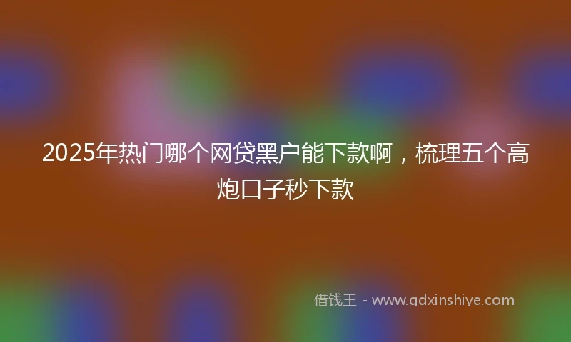 2025年热门哪个网贷黑户能下款啊,梳理五个高炮口子秒下款