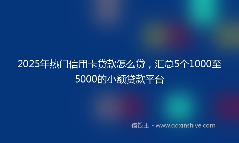 2025年热门信用卡贷款怎么贷,汇总5个1000至5000的小额贷款平台