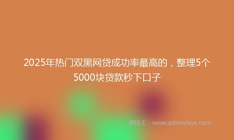 2025年热门双黑网贷成功率最高的，整理5个5000块贷款秒下口子