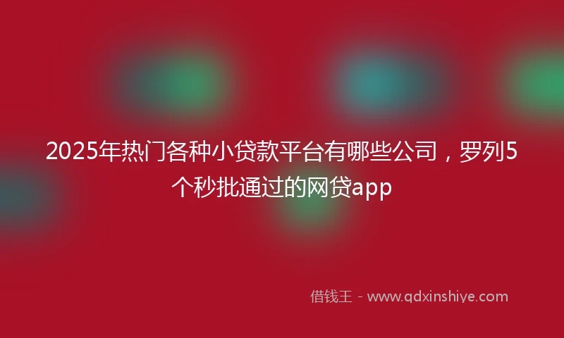 2025年热门各种小贷款平台有哪些公司，罗列5个秒批通过的网贷app