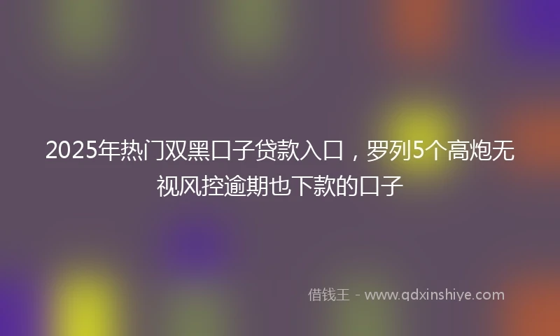 2025年热门双黑口子贷款入口，罗列5个高炮无视风控逾期也下款的口子