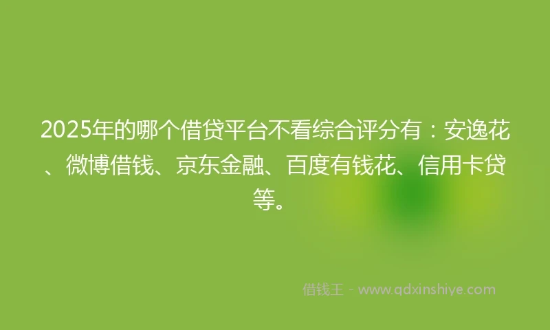 2025年的哪个借贷平台不看综合评分有：安逸花、微博借钱、京东金融、百度有钱花、信用卡贷等。