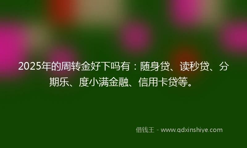 2025年的周转金好下吗有:随身贷、读秒贷、分期乐、度小满金融、信用卡贷等。