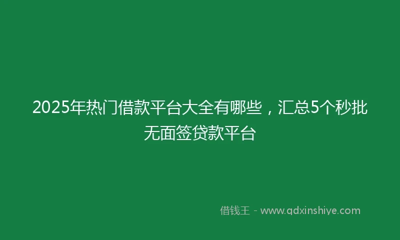 2025年热门借款平台大全有哪些，汇总5个秒批无面签贷款平台