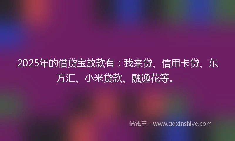 2025年的借贷宝放款有：我来贷、信用卡贷、东方汇、小米贷款、融逸花等。