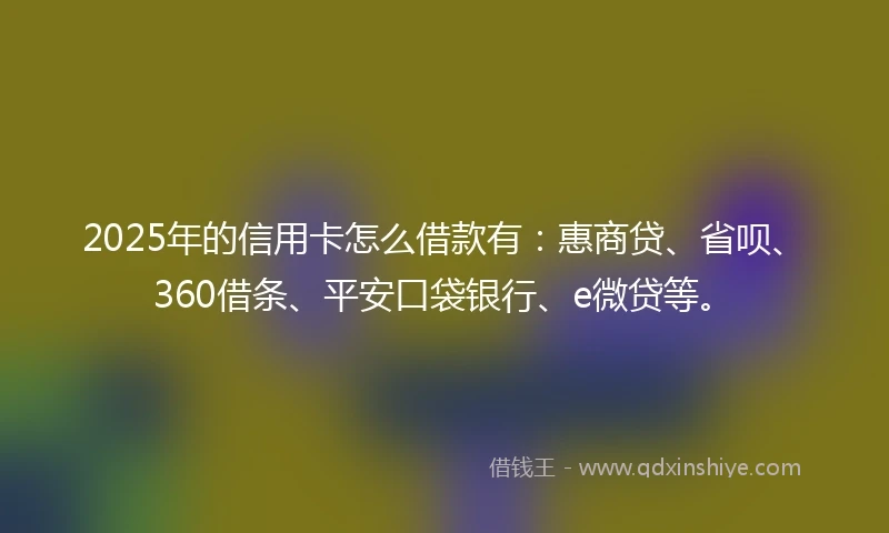 2025年的信用卡怎么借款有：惠商贷、省呗、360借条、平安口袋银行、e微贷等。