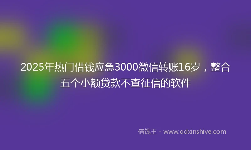 2025年热门借钱应急3000微信转账16岁，整合五个小额贷款不查征信的软件