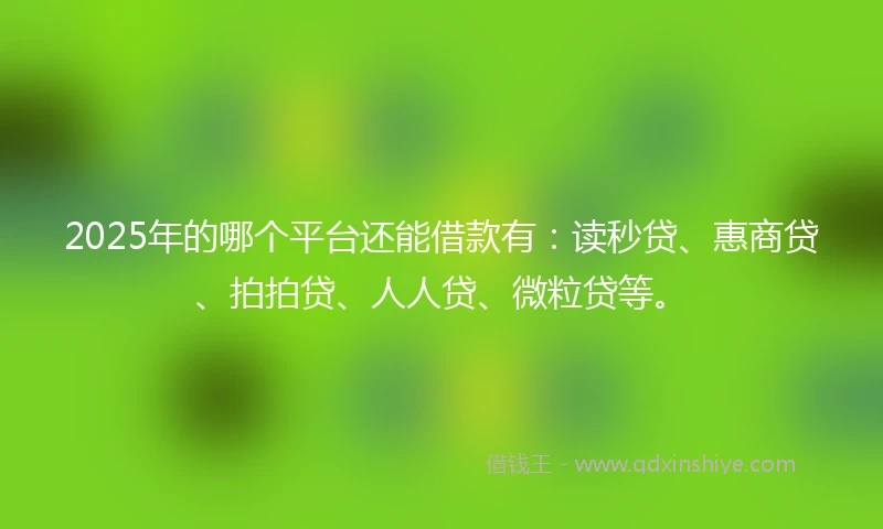 2025年的哪个平台还能借款有：读秒贷、惠商贷、拍拍贷、人人贷、微粒贷等。