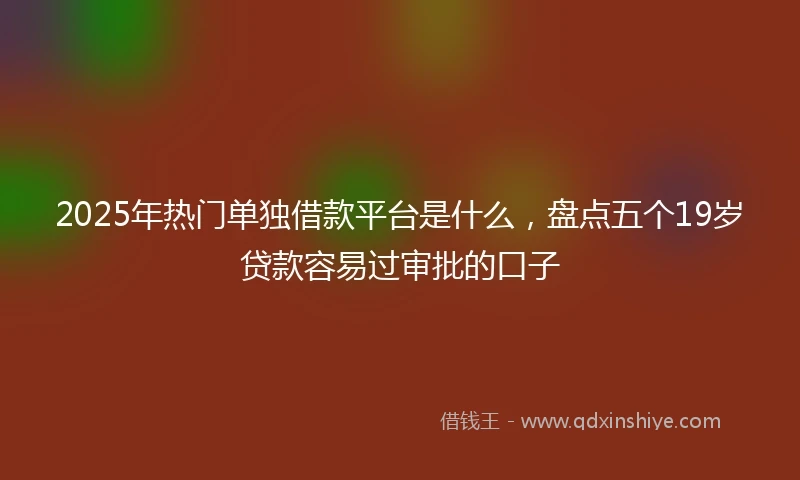 2025年热门单独借款平台是什么，盘点五个19岁贷款容易过审批的口子