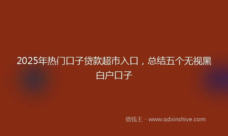 2025年热门口子贷款超市入口，总结五个无视黑白户口子
