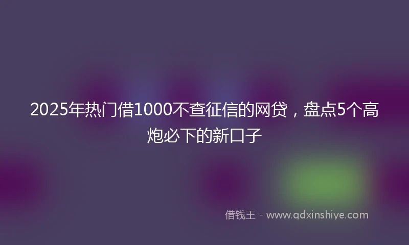 2025年热门借1000不查征信的网贷，盘点5个高炮必下的新口子