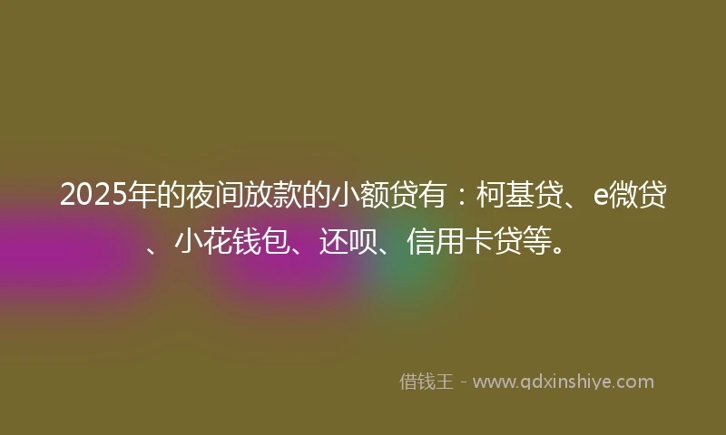 2025年的夜间放款的小额贷有：柯基贷、e微贷、小花钱包、还呗、信用卡贷等。