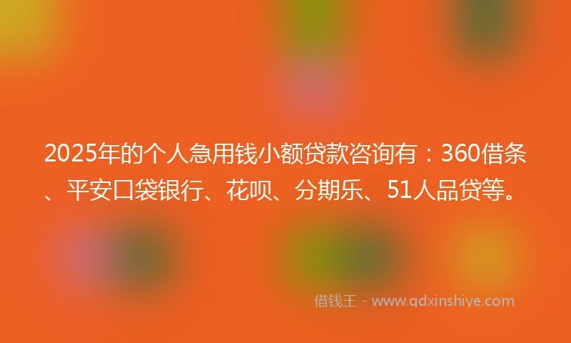 2025年的个人急用钱小额贷款咨询有：360借条、平安口袋银行、花呗、分期乐、51人品贷等。