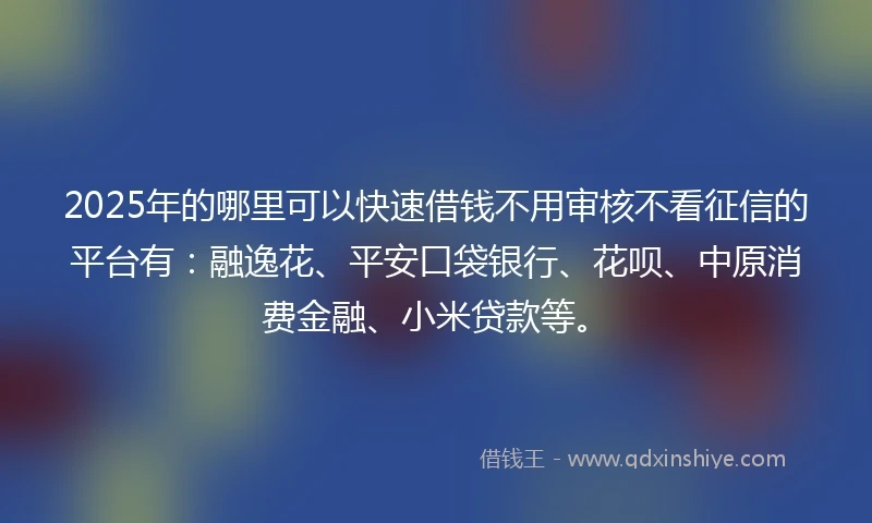 2025年的哪里可以快速借钱不用审核不看征信的平台有：融逸花、平安口袋银行、花呗、中原消费金融、小米贷款等。