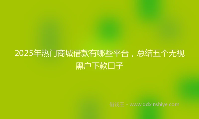 2025年热门商城借款有哪些平台,总结五个无视黑户下款口子