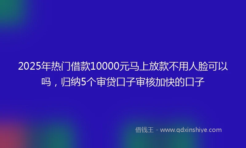 2025年热门借款10000元马上放款不用人脸可以吗，归纳5个审贷口子审核加快的口子