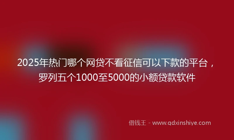2025年热门哪个网贷不看征信可以下款的平台，罗列五个1000至5000的小额贷款软件