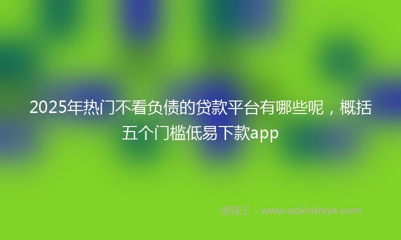 2025年热门不看负债的贷款平台有哪些呢，概括五个门槛低易下款app