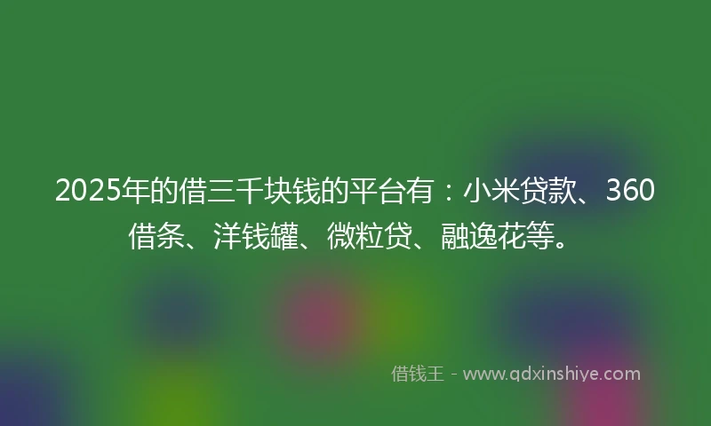 2025年的借三千块钱的平台有:小米贷款、360借条、洋钱罐、微粒贷、融逸花等。