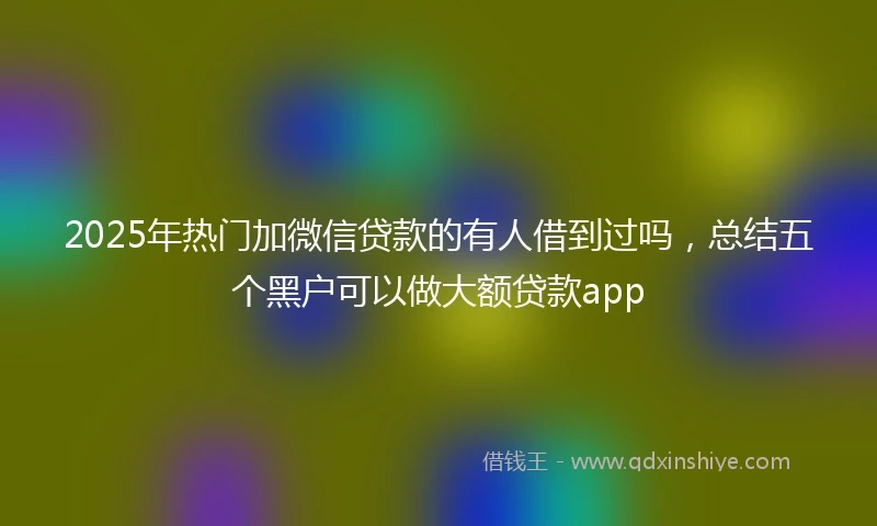 2025年热门加微信贷款的有人借到过吗，总结五个黑户可以做大额贷款app