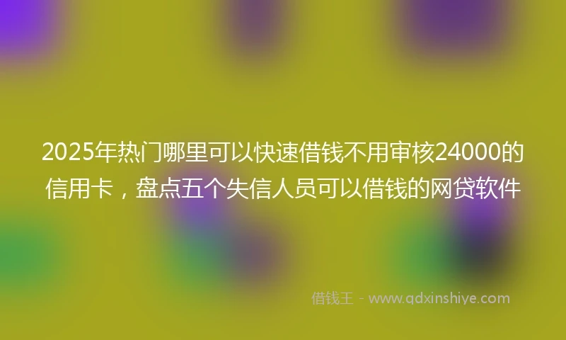 2025年热门哪里可以快速借钱不用审核24000的信用卡，盘点五个失信人员可以借钱的网贷软件