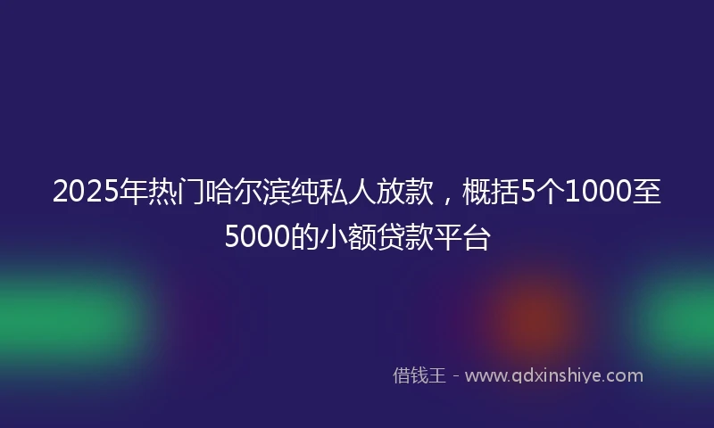 2025年热门哈尔滨纯私人放款，概括5个1000至5000的小额贷款平台