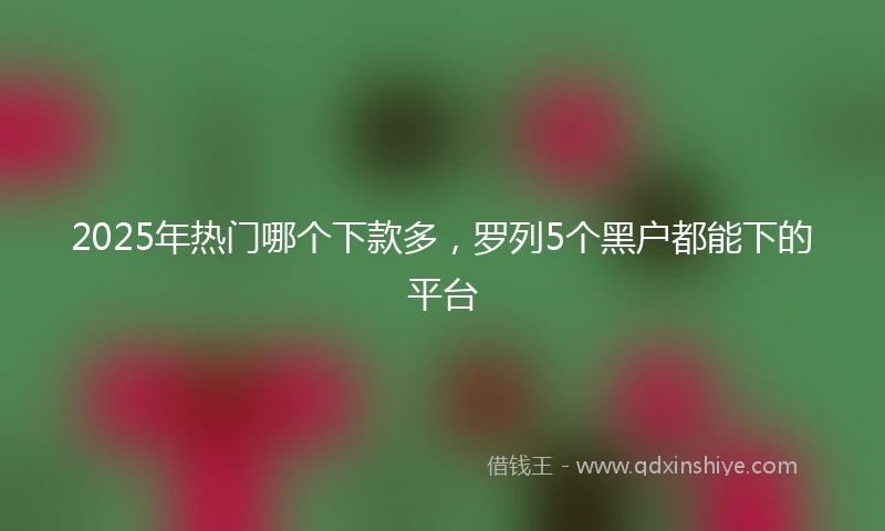 2025年热门哪个下款多，罗列5个黑户都能下的平台