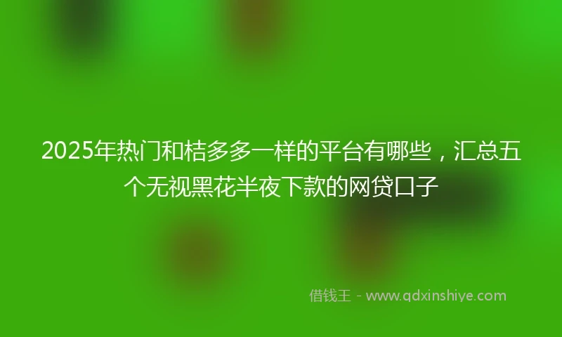 2025年热门和桔多多一样的平台有哪些，汇总五个无视黑花半夜下款的网贷口子