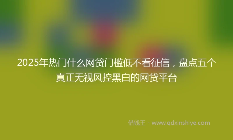 2025年热门什么网贷门槛低不看征信，盘点五个真正无视风控黑白的网贷平台
