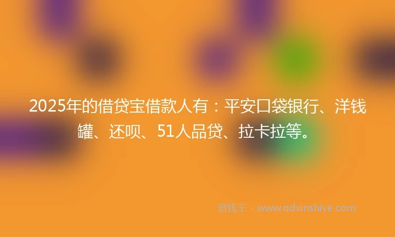 2025年的借贷宝借款人有：平安口袋银行、洋钱罐、还呗、51人品贷、拉卡拉等。