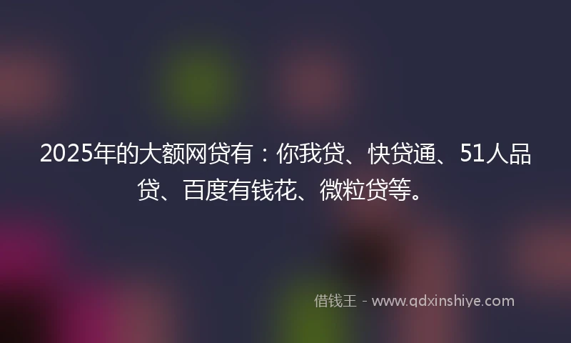 2025年的大额网贷有：你我贷、快贷通、51人品贷、百度有钱花、微粒贷等。