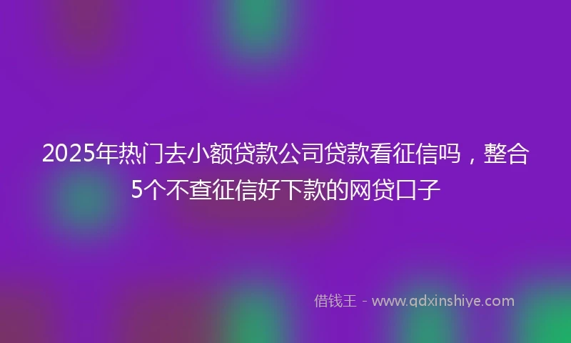 2025年热门去小额贷款公司贷款看征信吗，整合5个不查征信好下款的网贷口子