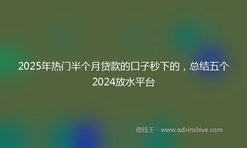 2025年热门半个月贷款的口子秒下的，总结五个2024放水平台