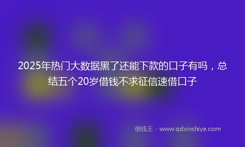 2025年热门大数据黑了还能下款的口子有吗，总结五个20岁借钱不求征信速借口子