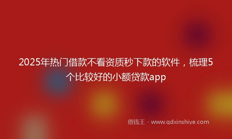 2025年热门借款不看资质秒下款的软件，梳理5个比较好的小额贷款app