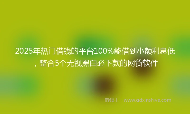 2025年热门借钱的平台100%能借到小额利息低，整合5个无视黑白必下款的网贷软件